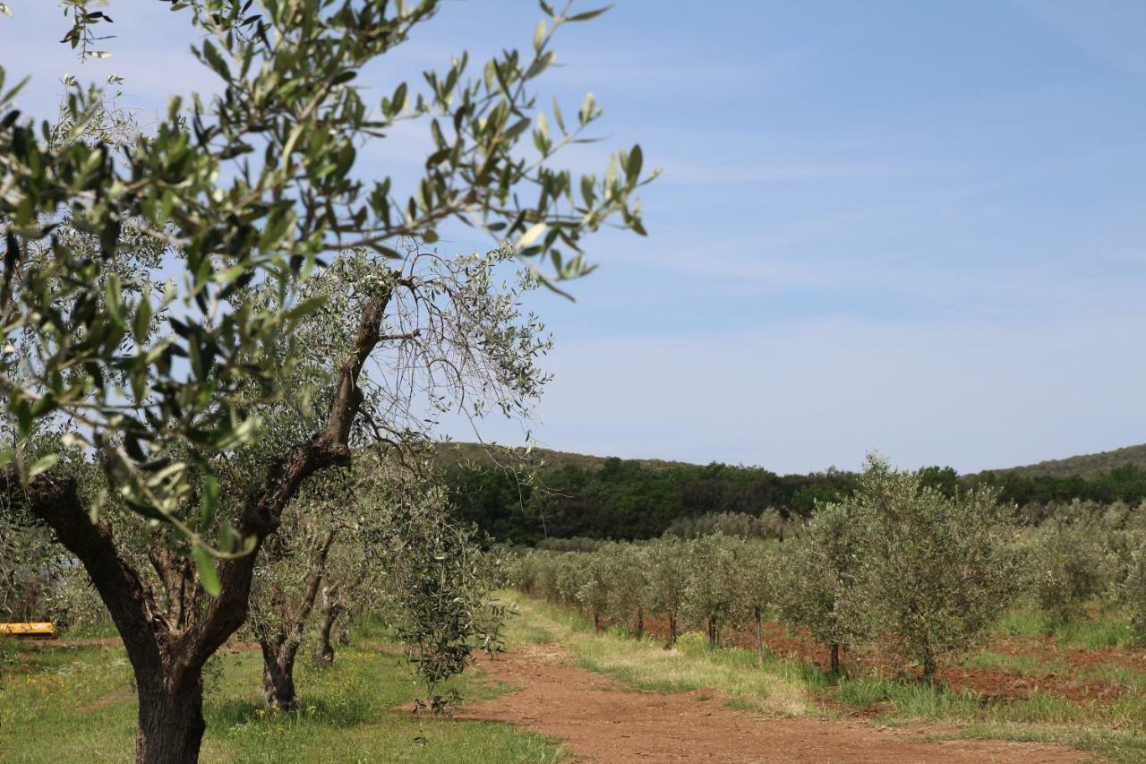 Agriturismo La Dolce Collina Villa Follonica Eksteriør bilde